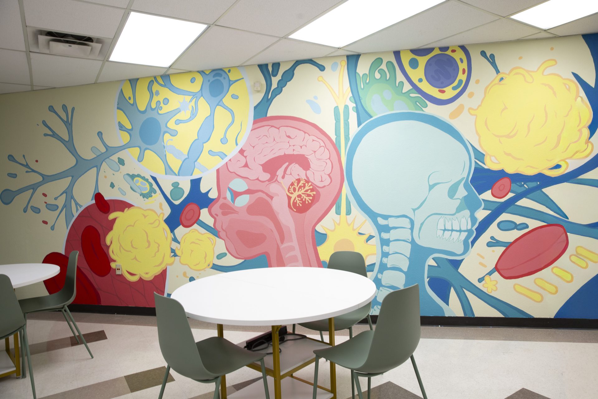 Mural for ASU: School of Biological and Health Systems Engineering